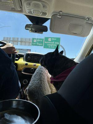 Golden Valley-Town of