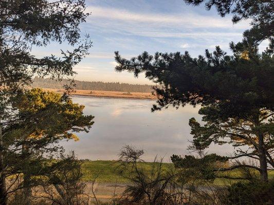 Bullards Beach State Campground