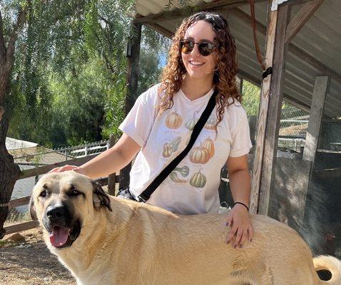 Bark n' Roll Pet Care