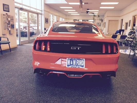 Ford Mustang GT in showroom.