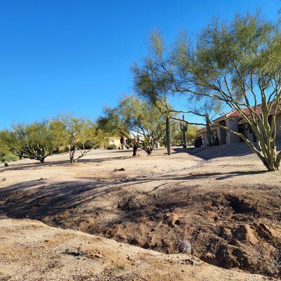 Topgrass Landscaping