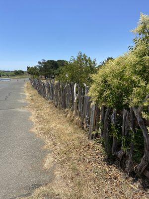 I just loved this driftwood fence.