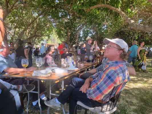 San Diego Baja Tours