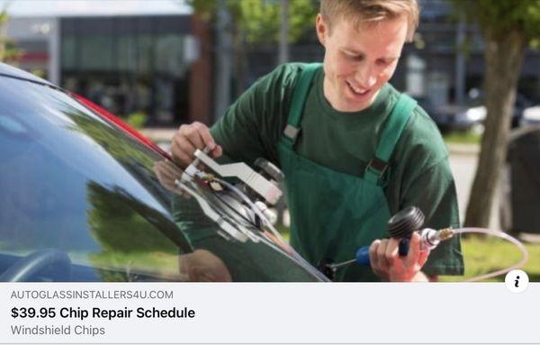 Rock Chip Repairs keep the cracks away