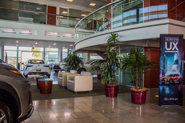 Coast Live Tropicals