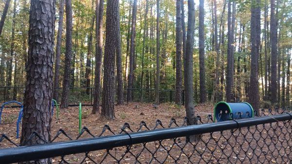 Looking over the fence at the agility item area