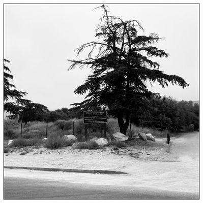 Welcome to WIlson Canyon Park. #bnwphoto #weekender