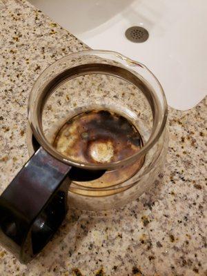 Mold in the coffee pot