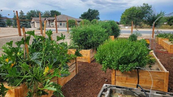 Rocky Mountain BioAg