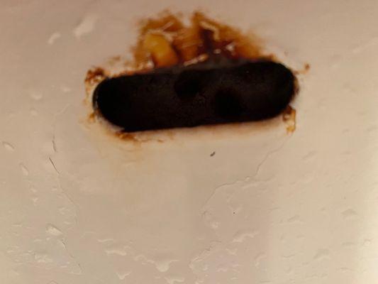 Bexley at Brier Creek