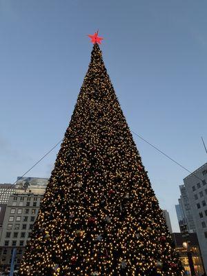 Macy's Christmas Tree