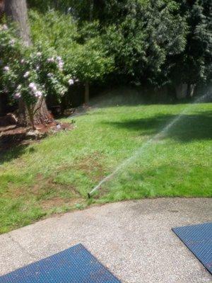 Siderio Landscaping Lawn Care