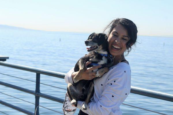 Love At First Sit - People’s Dog Training