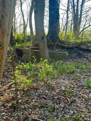 Swan Creek Metropark