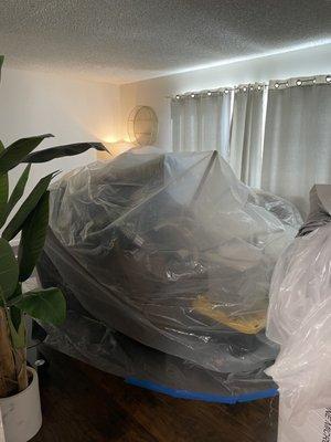 Palm Garden Apartments