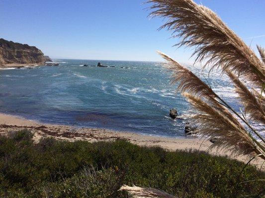 Reconnect With Nature