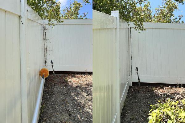 We take off all the spider webs in your yard every single time, not just your homes webs.