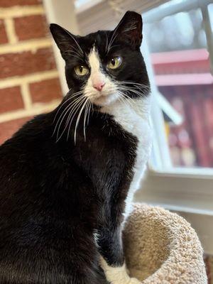 Riverside Veterinary Hospital