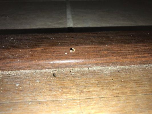 Sutters Mill Apartments