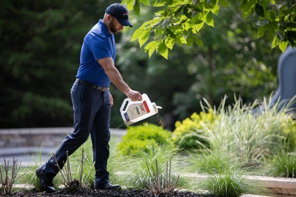 Pro-Staff Termite and Pest Control of Iowa