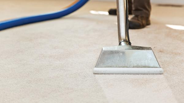 Affordable Carpet Cleaning