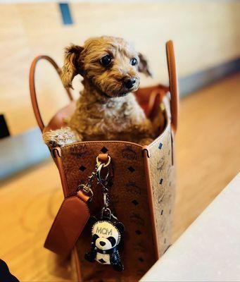 She loves her MCM München Tote