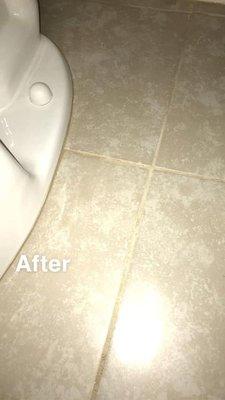 Mariah's Marvelous Maids