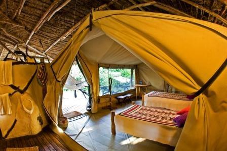 Mt Kisco Travel N Tours