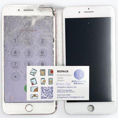 Jolly Gatos Digimall