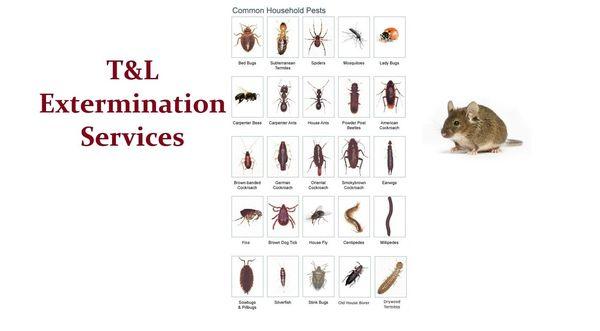 T & L Extermination Services