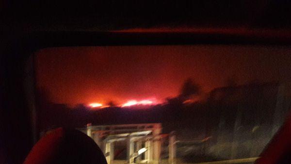 Cotchett Pitre & McCarthy