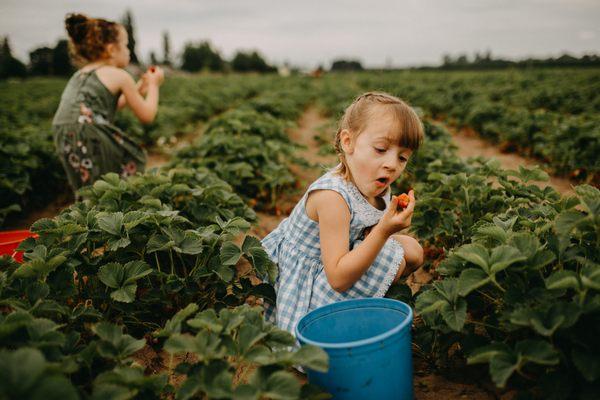 Three Sisters Photography