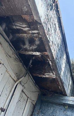 Pest Management Enterprise