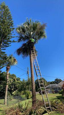 All Sides Landscape Design And Tree Trimming