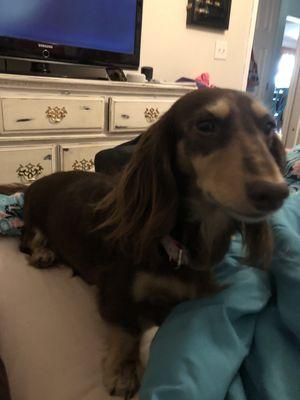 Pea Ridge Elementary School