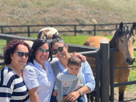 Crown Point Vineyards