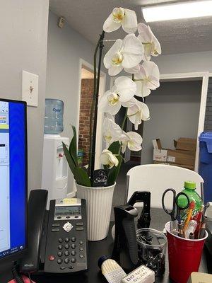 Tax Refunds & Accounting Services