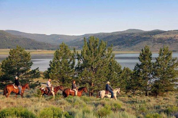 Panguitch Lake Horseback Trail Rides
