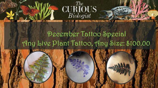 The Curious Biologist