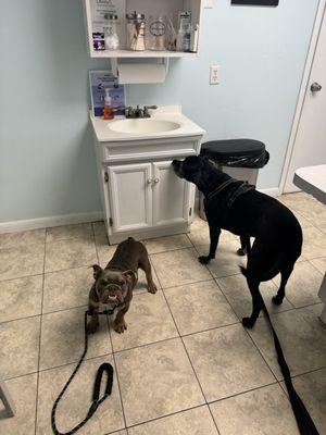 Coastal Animal Clinic