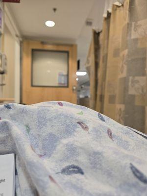 The view for the entire day.