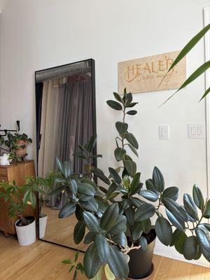 Healer Holistic Skincare