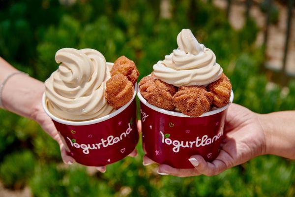 Yogurtland - Blackstone Ave