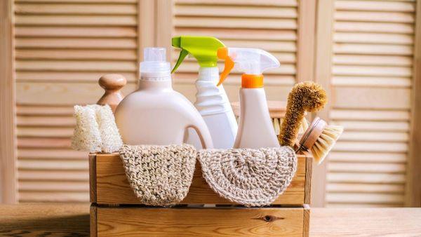 Pure Clean and Organization