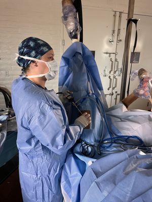 Dr. Mackenzie performing equine surgery