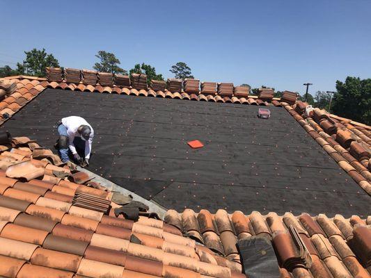 Friesian Construction