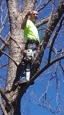 Heritage Tree & Arborist Service