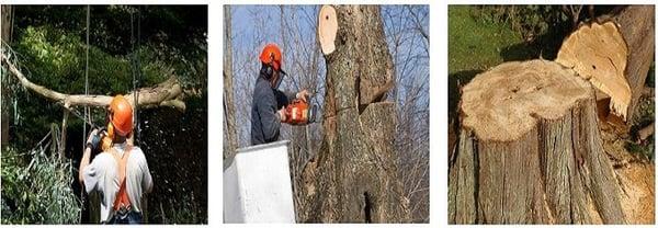 JB Home Improvement and Tree Service