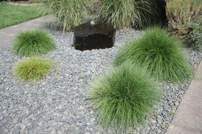 Valley Landscape Center