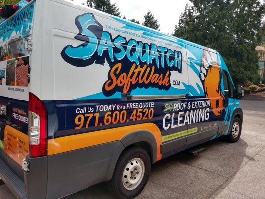 Certified Softwash Professionals, Members of Ask The Seal (licensed, insured and background checked), Members of the Good Steward Program